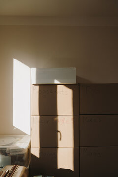 Relocation Concept Showing Labeled Cardboard Boxes In Bright Residential Room