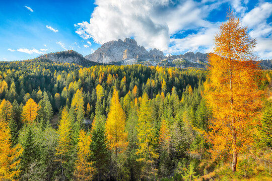Remarkable view of  National Park Tre Cime di Lavaredo. Location: National Park Tre Cime di Lavaredo,  Dolomiti alps, South Tyrol, Italy, Europe.