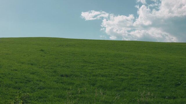 Gentle Sloping Grassland Under a Blue Sky with Clouds