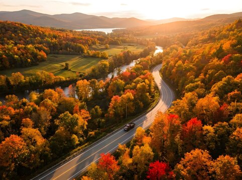 Woman standing on road surrounded by autumn forest