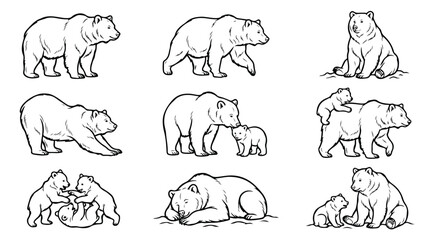 Grizzly Bear Line Art Vector Collection, Hand Drawn Wild Animal Line Art Illustrations, Black and White Bear Poses Set © Fakhra