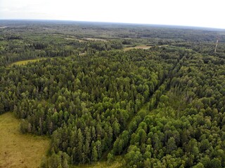 High drone panorama of woodland surrounding a remote clearing © Elena