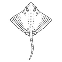 Vintage engraving of a stingray in a woodcut linocut style vector illustration © RetroVector