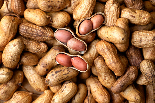 Roasted peanuts are cooked for a delicious meal.