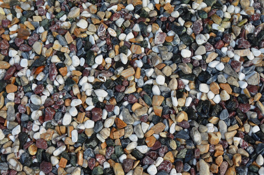 Colorful wet pebble stones texture background . Closeup , top view.