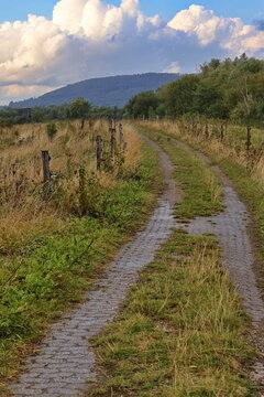 Hohenrode Weserauen, Weg zum Aussichtsturm