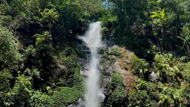 Tall tropical waterfall flowing down mossy rock cliff surrounded by lush green jungle at Curug Semirang, Ungaran, Semarang, Central Java, Indonesia
