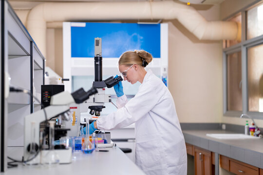 Young female researcher working in the lab, she is examining the samples under a microscope