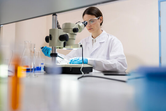 Young female researcher working in the lab, she is examining the samples under a microscope