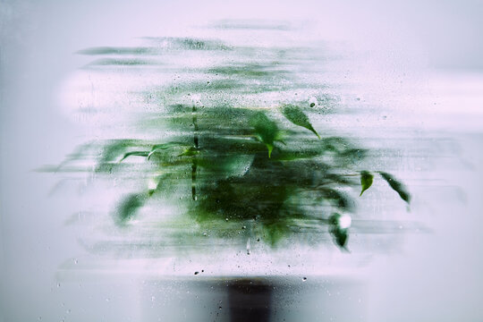 Abstract View of Green Houseplant Behind Wet Textured Glass with Water Droplets and Motion Blur