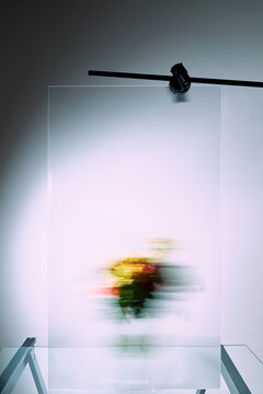 Abstract Blurred Flowers Behind Frosted Glass Panel in Studio