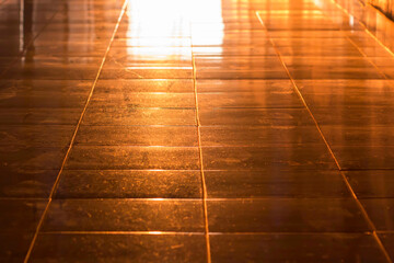 The orange rays of the sun hit the ground, creating beautiful shadows. © Sirapob