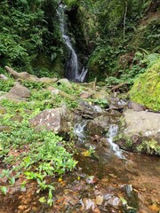 Cascading Waterfall and Rocky Stream Surrounded by Lush Green Forest © Haryadi Handika