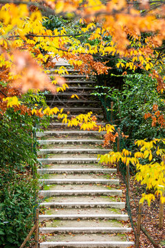 Stairway framed by autumn foliage in Parc Clichy-Batignolles Martin Luther King in Paris, France within landscaped urban park design