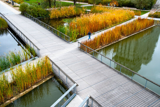 Boardwalk crossing water gardens in Parc Clichy-Batignolles Martin Luther King in Paris, France with modern landscaped park design