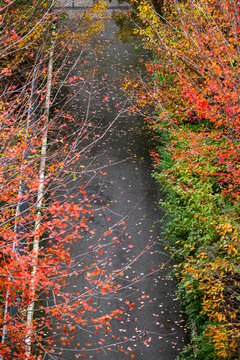 Overhead view of pathway bordered by autumn foliage in Parc Clichy-Batignolles Martin Luther King in Paris, France during fall season