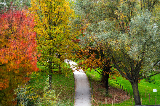 Curving path through autumn trees in Parc Clichy-Batignolles Martin Luther King in Paris, France showing landscaped urban green space