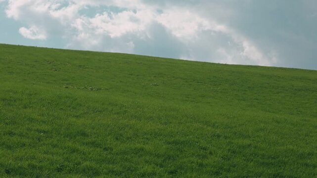 Gentle Sloping Grassland Under a Blue Sky with Clouds