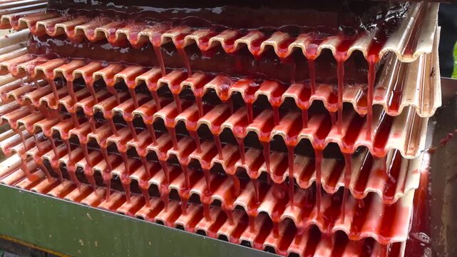 Close up of a fruit press extracting delicious, fresh apple and chokeberry juice. The dark red liquid drips and flows from between the industrial juicer plates in a continuous stream