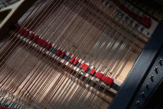 Grand piano soundboard with strings and dampers from above