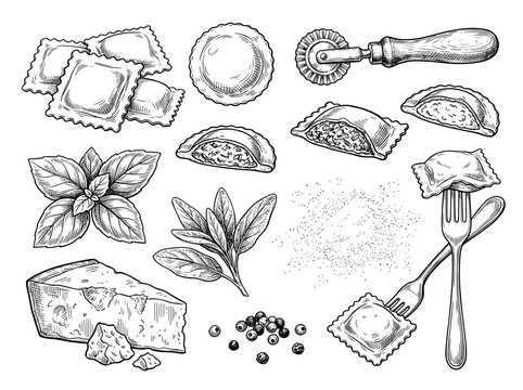 Hand drawn sketch of ravioli pasta with meat filling, basil, parmesan and cutter wheel on white background