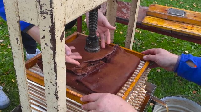 Close up view of workers pressing grated apples with a wooden fruit press to produce fresh, organic juice, showcasing a traditional beverage production method during the autumn harvest