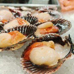 Fresh Scallops on Ice at La Boqueria Market in Barcelona © Andrea