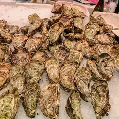 Fresh Oysters on Ice at a Seafood Market in Barcelona © Andrea