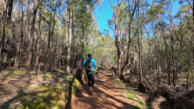 Hiker Walking Along a Sunny Bush Trail in Australia