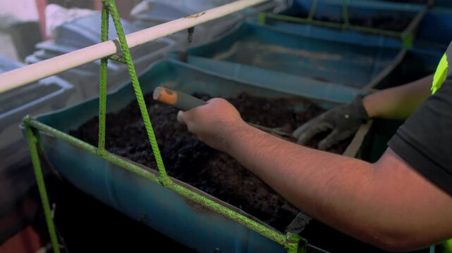 A worker wearing black nitrile gloves uses a metal rake to stir moist organic material in a composting bin, part of a circular agribusiness model in Mexico focused on waste transformation.