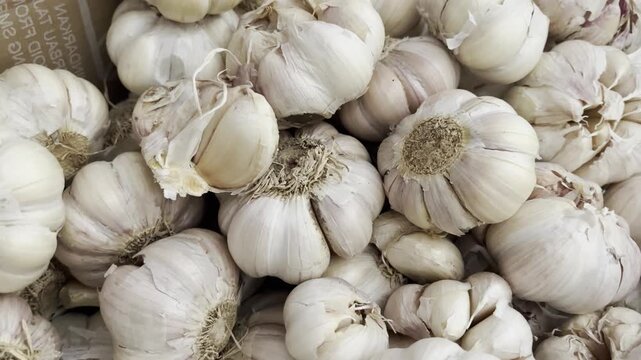 Fresh Organic Garlic Bulbs Stacked Texture Background