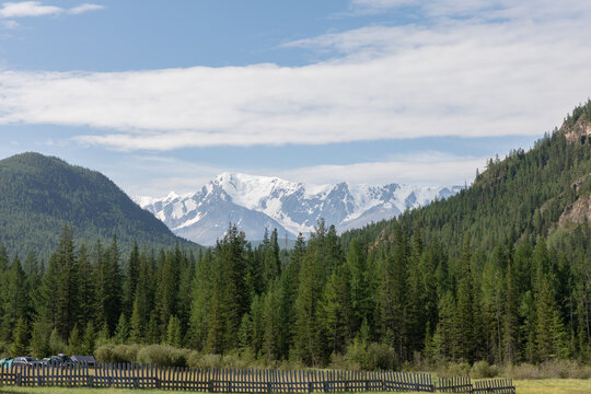 Wide panoramic view of conifer forest and green valley with snowcapped mountains in the distance, Altai Mountains, Altai Republic, Russia, on a bright day
