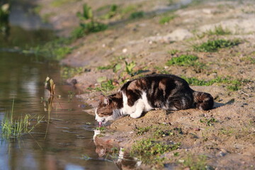 Having a little drink © Elena
