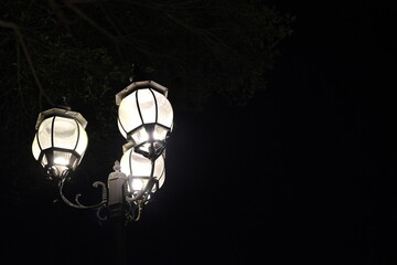 Three glowing lanterns hang from a dark, leafy branch. Nighttime radiance contrasts sharply with the deep black background. Urban elegance evokes calm, quiet charm of city streets © uniqephoto