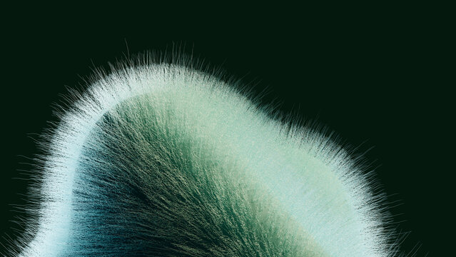 Close-up of green mold fungus with detailed spore filaments