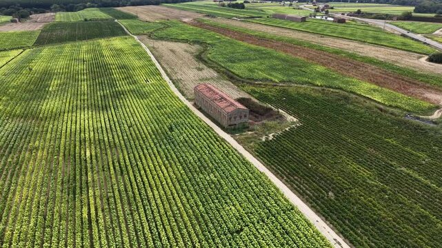Aerial view of agricultural fields and a rustic barn in the rural landscape of Talayuela, Extremadura, Spain.