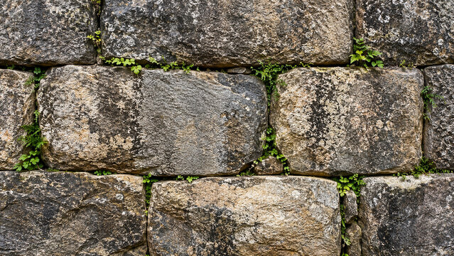 A close-up photo reveals an ancient stone wall, with its masonry structure being compact and cracks filled with vegetation.