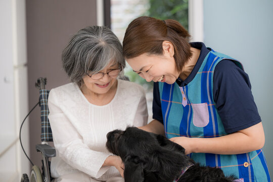 車椅子で犬とのペットセラピーを楽しむ高齢者と介護スタッフ、アニマルセラピー、老人介護、心のケア、癒やしを提供する介護サービス