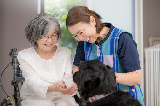 車椅子で犬とのペットセラピーを楽しむ高齢者と介護スタッフ、アニマルセラピー、老人介護、心のケア、癒やしを提供する介護サービス