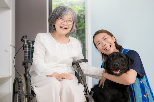 車椅子で犬とのペットセラピーを楽しむ高齢者と介護スタッフ、アニマルセラピー、老人介護、心のケア、癒やしを提供する介護サービスカメラ目線の笑顔