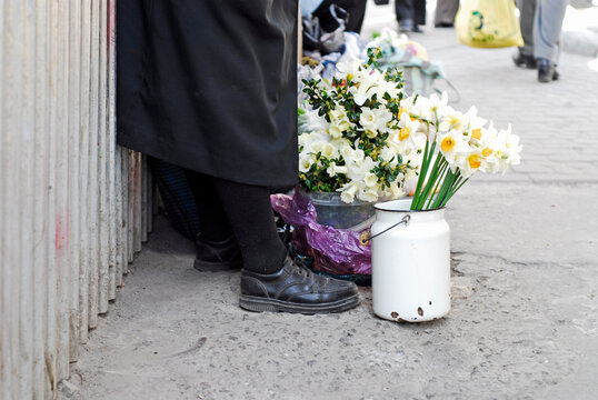 Elderly woman bending towards a flower filled bucket, Lvov, Ukraine
