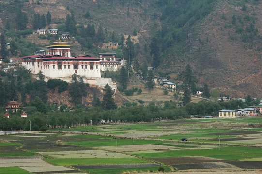 Fields with a temple built on a mountain slope, Paro, Bhutan