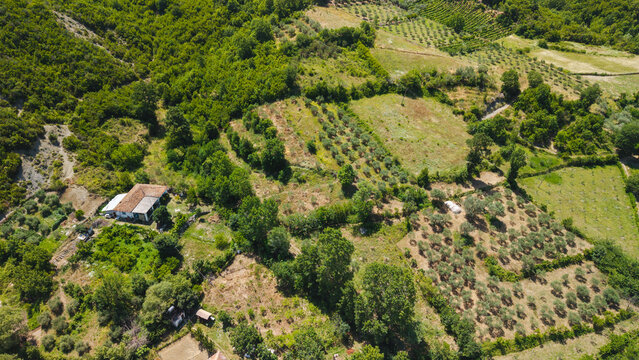 Typical Rural Landscape in Albania