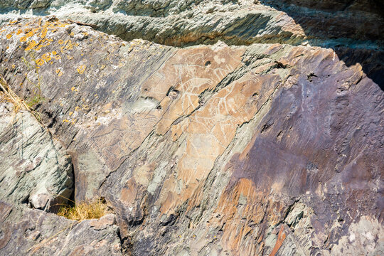 Ancient petroglyphs carved into rock at Tomskaya Pisanitsa in Siberia. Prehistoric rock art represents archaeological heritage and early human culture