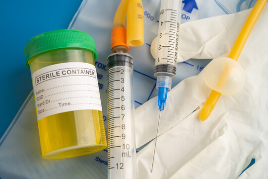 Foley catheter and urine drainage bag collect urine for disability or patient in hospital.
