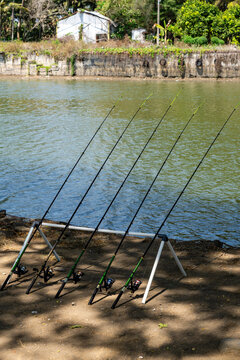 Multiple fishing rods lined up on a rod stand by the riverbank