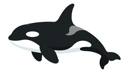 Orca Whale Swimming Underwater Silhouette © Munna