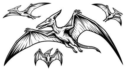 Flying Pterodactyls Illustration Isolated © tati