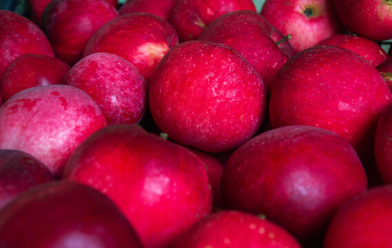 Fresh ripe red apples displayed in large pile at local farm market for healthy grocery shopping