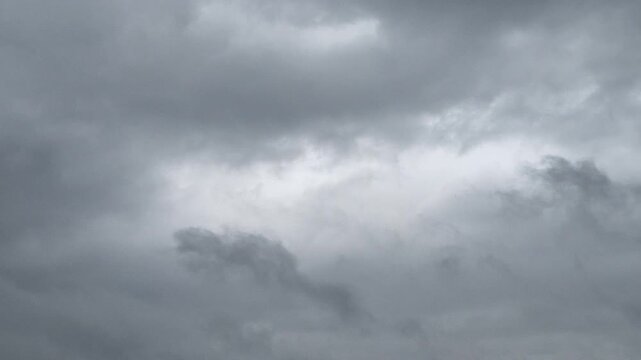 Silhouette of a single bird flying through dramatic dark storm clouds in an overcast gray sky during bad weather conditions